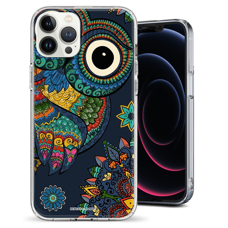 Θήκη Back Cover Apple iphone 12 Pro Owl Boho